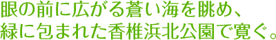 眼の前に広がる蒼い海を眺め、緑に包まれた香椎浜北公園で寛ぐ。